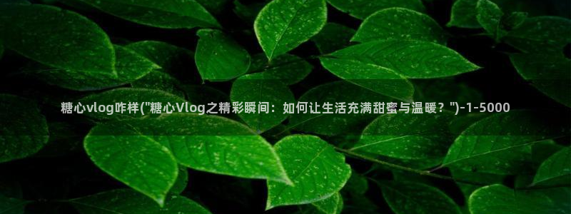 糖心vlog安装不了