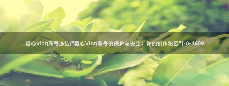 糖心vlog后入