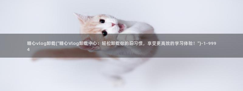 糖心vlog柚子猫胡桃