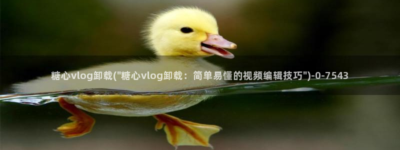 糖心vlog资源分享