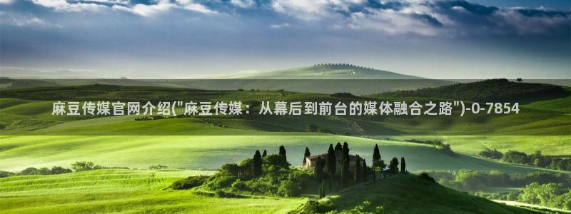 麻豆 入口在线看：麻豆传媒官网介绍(\