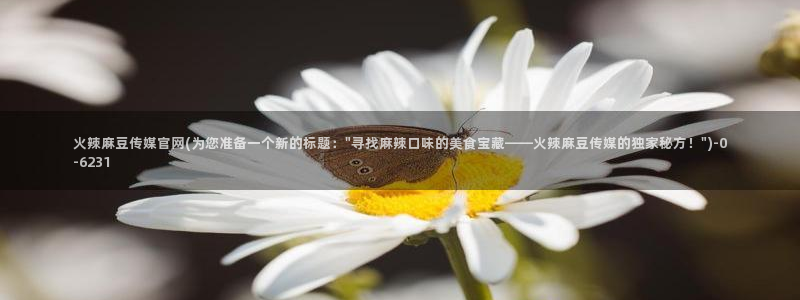 麻豆 入口更新：火辣麻豆传媒官网(为您准备一个新的标
