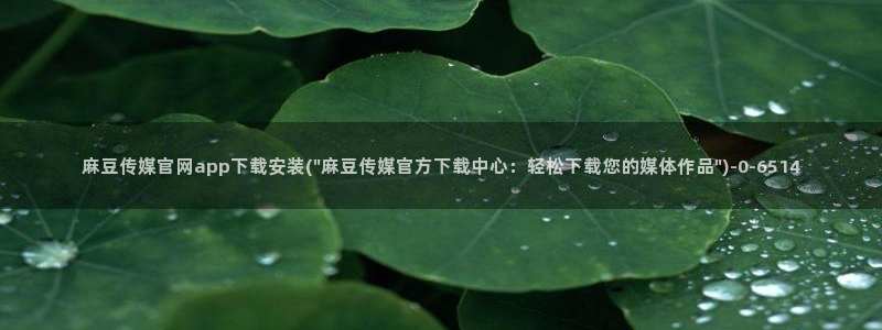 麻豆视频 最新资源：麻豆传媒官网app下载安装(