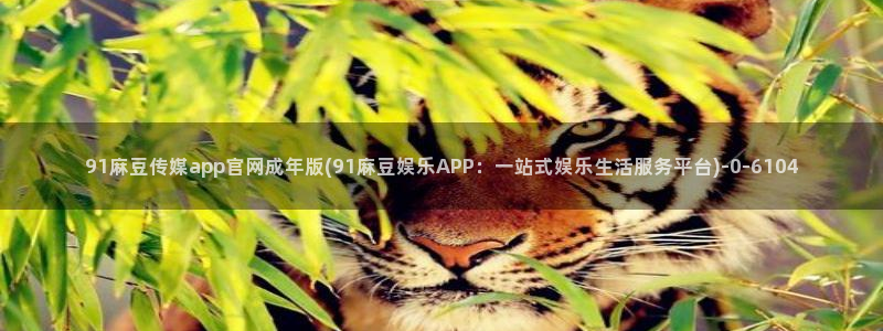 麻豆视频 站下载：91麻豆传媒app官网成年版(