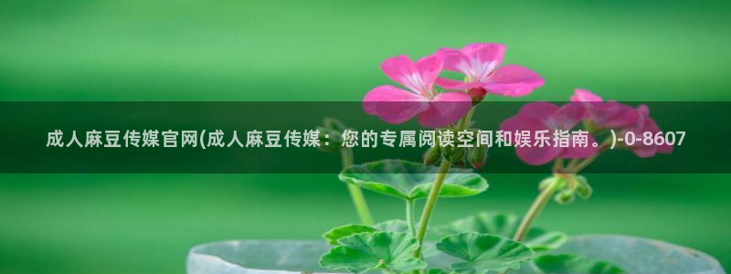 麻豆视频高清最新：成人麻豆传媒官网(成人麻豆传媒