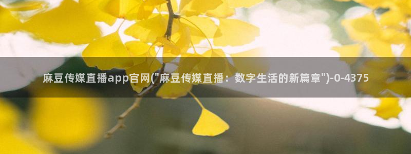 麻豆视频精选资源：麻豆传媒直播app官网(\