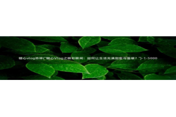 糖心vlog安装不了：糖心vlog咋样(\