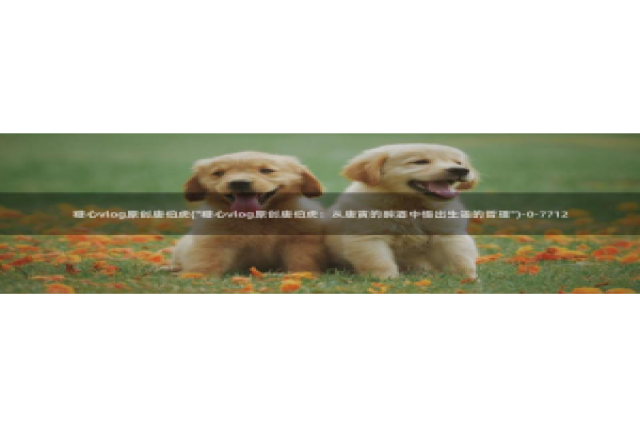 该看糖心vlog：糖心vlog原创唐伯虎(\