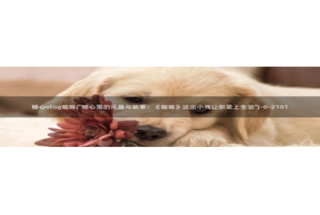 糖心vlog 小包子：糖心vlog蜘蛛(\