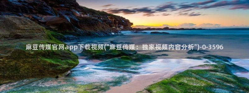 麻豆视频 完整版页面